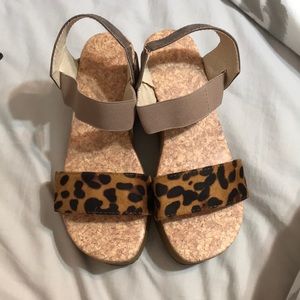 leopard platforms